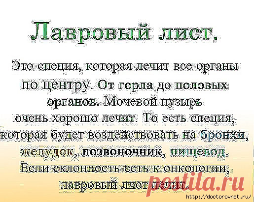 Волшебные свойства лаврового листа