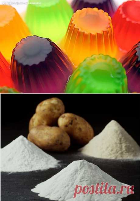 Загустители: желатин, крахмал, пектин, агар-агар | Четыре вкуса