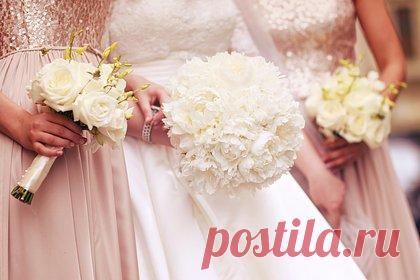 Платье гостьи на свадьбу со строгим дресс-кодом сравнили с червем. Пользователи сети раскритиковали платье гостьи на свадьбу со строгим дресс-кодом. Девушка поделилась снимком наряда, который она планировала купить на торжество. На размещенном фото была изображена модель, позирующая в облегающем розовом платье с оборками. Комментаторы, в свою очередь, не оценили платье.