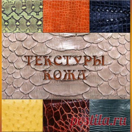 Текстуры - Кожа (JPG)