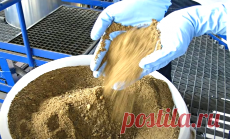 Я тоже сначала не верил! Всего 1 кг "порошка" заменяет осенью ровно 100 кг навоза (вы бы видели, какой в этом году уродился картофель) | Удачный урожай | Дзен