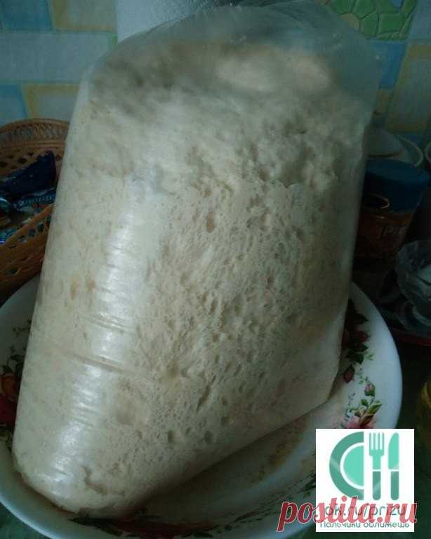 МОЕ ЛЮБИМОЕ ТЕСТО ДЛЯ ПИРОЖКОВ....

2 СТ. ТЕПЛОЙ ВОДЫ,

2 ЯЙЦА,

2 СТОЛОВЫЕ ЛОЖКИ САХАРА,

1 НЕПОЛНАЯ СТ.ЛОЖКА СОЛИ,

1 ПАЧКА СУХИХ ДРОЖЖЕЙ ( 11 ГРАММ),

0,5 СТАКАНА РАСТИТЕЛЬНОГО МАСЛА,

МУКИ 800-900 ГРАММ.

ЗАМЕШИВАЕМ И НА СОРОК МИНУТ В ХОЛОДИЛЬНИК.

(Можно завести с вечера и убрать в холодильник!!! И затем использовать когда у Вас есть время!!!
https://www.youtube.com/watch?v=LqANr0PfC40