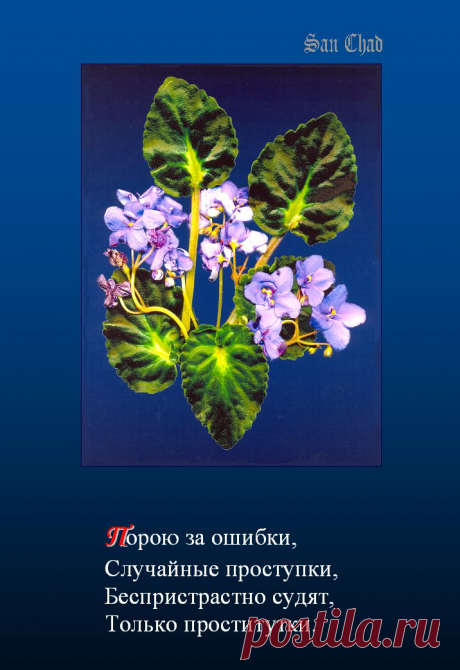 Софиты Сан Чада