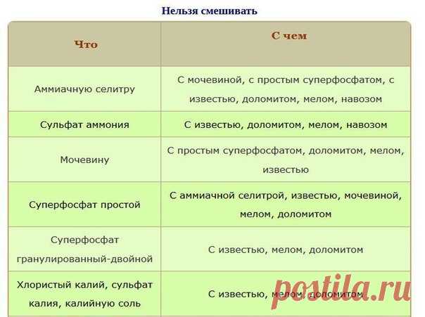 Сохрани, чтобы не потерять!