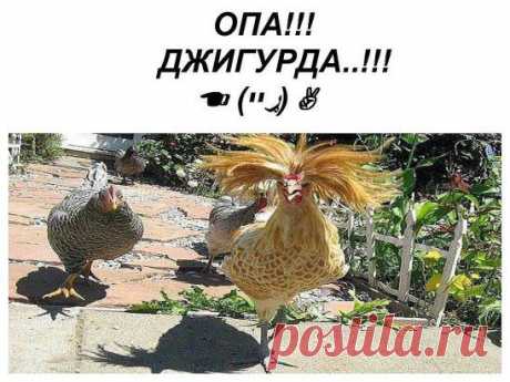 (97) Одноклассники