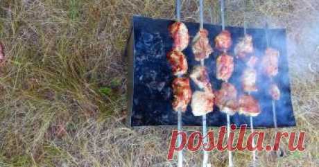 Шашлык свиной на чае🐷 Автор рецепта Карина  Шашлык свиной на чае🐷 - пошаговый рецепт с фото. #шашлык #вкусно #мясо