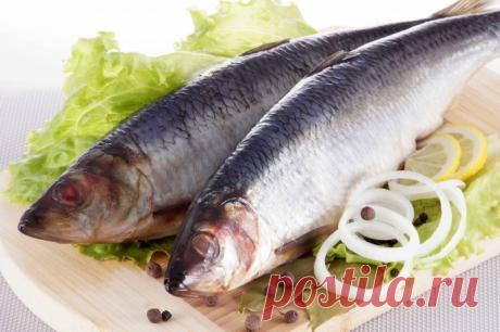 Почему стоит отказаться от селедки? Селедка давно стала одним из главных блюд на нашем столе. Эта рыба используется не только в качестве закуски, но и является ключевым ингредиентом многих излюбленных блюд. Взять даже всеми любимую сельдь под шубой. Сложно даже представить, что от нее нужно отказаться. Но это действительно стоит сделать.