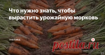 Что нужно знать, чтобы вырастить урожайную морковь Самые важные моменты и народные хитрости, которые нужно учесть при посадке моркови.
Из видео вы узнаете какие культуры являются хорошими предшественниками для моркови, про подготовку почвы под посадку моркови, про полив и различные подкормки, о различных приемах и хитростях, облегчающих процесс посадки и выращивания моркови.
Подписывайтесь на канал, ставьте лайки, и делитесь полезной информацией с