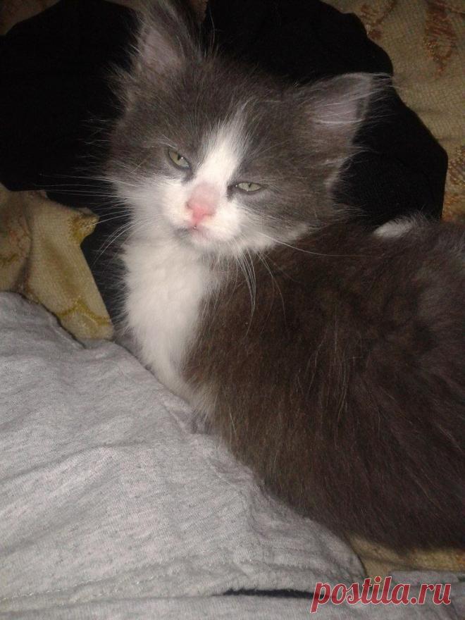 Здесь Вы увидите наиболее удачные наши фотки