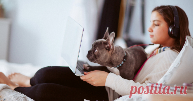 Круче учебника: 5 классных сайтов для самообразования Online education rules!