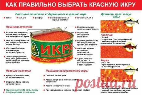 Какой срок годности у икры Портал о законах и правах граждан Российской Федерации. Как защититься и не дать себя обмануть.