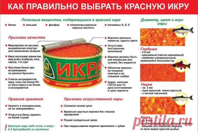 Какой срок годности у икры Портал о законах и правах граждан Российской Федерации. Как защититься и не дать себя обмануть.