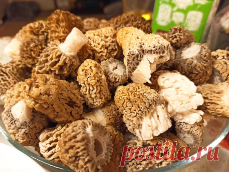 Варить сморчки в квасе, обмазывать маслом, но не есть их после грозы... Рецепты 19-го века из русской литературы | Дневник грибника. | Яндекс Дзен