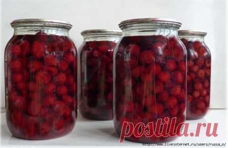 ЗАГОТОВКИ ИЗ ВИШНИ