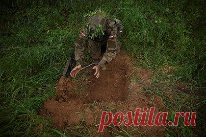 В США объяснили нежелание привлекать Европу в переговоры по Украине