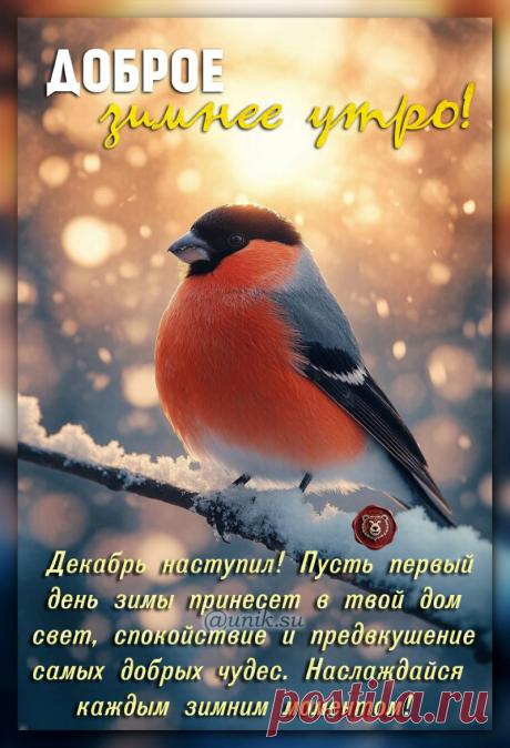 открытка с первым декабря
