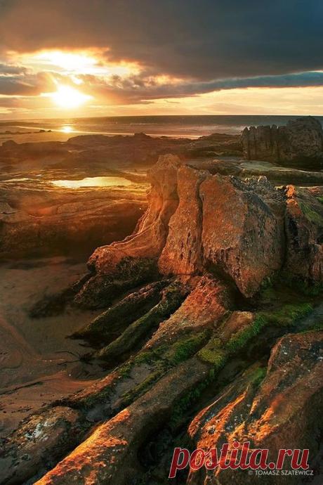 Landscape/Nature
