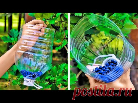 ГЕНИАЛЬНЫЕ САДОВЫЕ ЛАЙФХАКИ, КОТОРЫЕ ДЕЙСТВИТЕЛЬНО РАБОТАЮТ