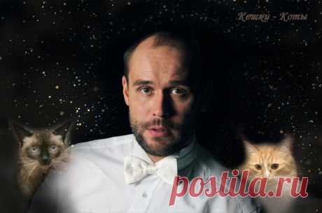 Кошки в жизни Максима Аверина, его кошачьи роли | Кошки &amp; Коты | Яндекс Дзен

Канал «Кошки &amp; Коты». Автор статьи: Нина Стрелкова. Трудно найти Стрельца, который не любит животных. Максим Аверин вспоминает, что в детстве у него всегда были собаки и птицы, а кошек не удавалось завести, хотя очень хотелось. «И в один прекрасный момент, когда я достиг совершеннолетия и уже обрел самостоятельность, в мою жизнь вбежали кошки» – говорит актер. У Максима появился черный кот Семён, потом друг