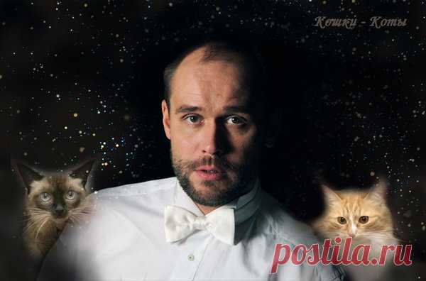 Кошки в жизни Максима Аверина, его кошачьи роли | Кошки & Коты | Яндекс Дзен

Канал «Кошки & Коты». Автор статьи: Нина Стрелкова. Трудно найти Стрельца, который не любит животных. Максим Аверин вспоминает, что в детстве у него всегда были собаки и птицы, а кошек не удавалось завести, хотя очень хотелось. «И в один прекрасный момент, когда я достиг совершеннолетия и уже обрел самостоятельность, в мою жизнь вбежали кошки» – говорит актер. У Максима появился черный кот Семён, потом друг