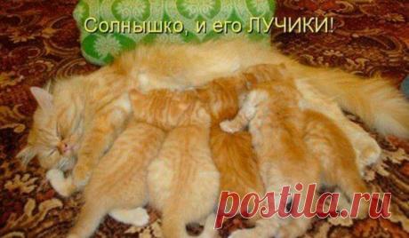 Вакансии в Интернете