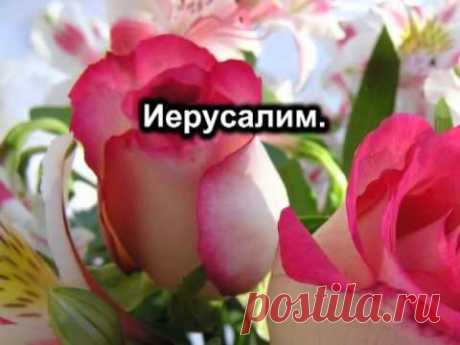 Есть на небе город