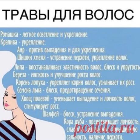 ТРАВЫ ДЛЯ ВОЛОС