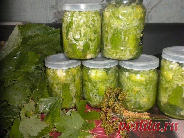 Огурцы в собственном соку | Сударушка