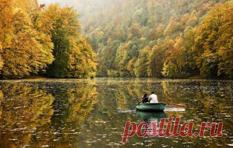 Избранное | Фотографии Елена Жёлтышева | 75 фото