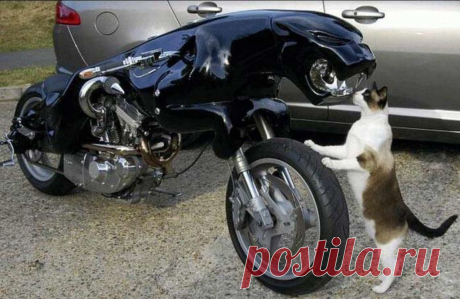 дом ночью: 106 тыс изображений найдено в Яндекс.Картинках