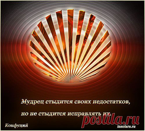 0_64816_b4c42c14_L (500×452)