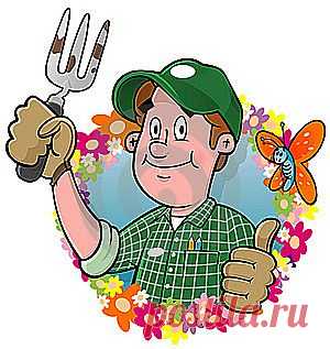 Садоводам-любителям на заметку.