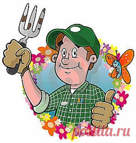 Садоводам-любителям на заметку.