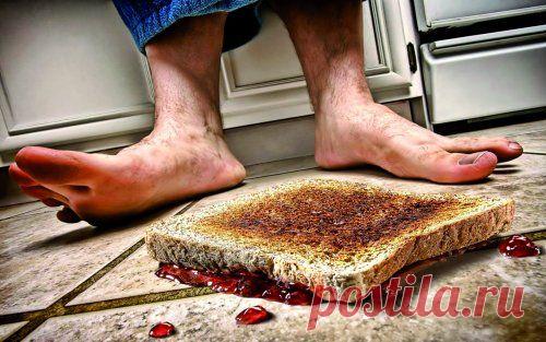 30 ИРОНИЧНЫХ ЗАКОНОВ ЖИЗНИ - rastimul.com.ua