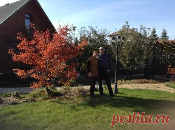 Ирга - украшает дачу, помогает сохранить здоровье