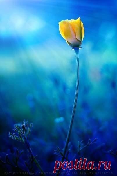 Философия | Психология | Саморазвитие | Группы Мой Мир