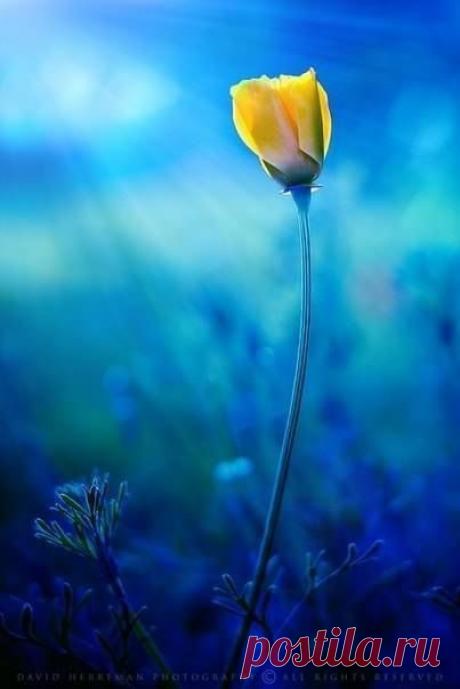 Философия | Психология | Саморазвитие | Группы Мой Мир