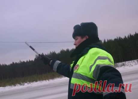 Почему я никогда не выхожу из своей машины после остановки патрулем ДПС | Авто Мото | Яндекс Дзен