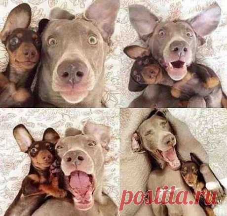 Когда оставил телефон без присмотра...