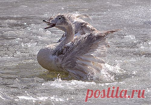 eliza-lebedewa — «DSC_0577 (2).jpg» на Яндекс.Фотках