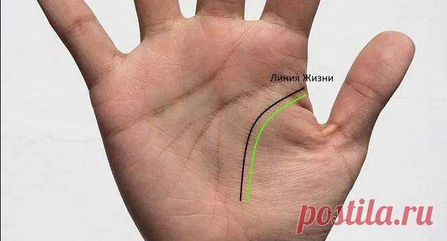 Значение основных линий на руке