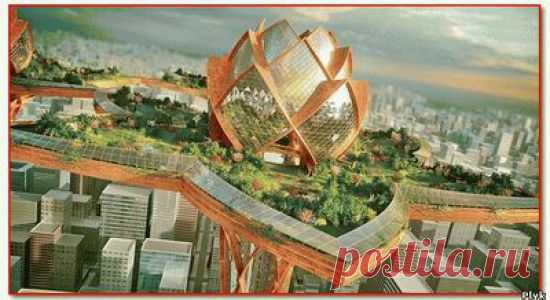 Путешествие в будущее - 2137 и в 2749 год (1 часть)