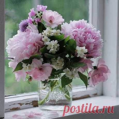 Утро ...
Букет ... доброта ... дом ... красота ...
Любовь ... мама ... окно ...
Семья ... солнце ... свет ... теплота ...
Утро ... цветы ...