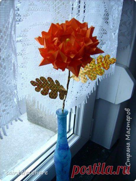 хризантема | Страна Мастеров