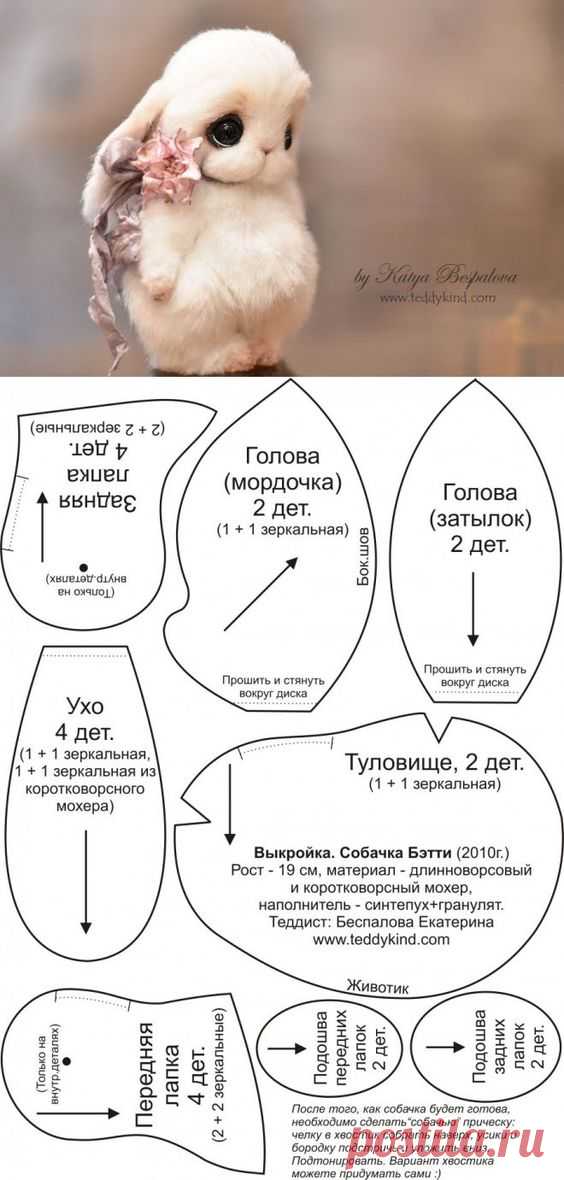 Очаровашка! Собачка Бетти.