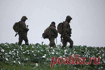 Командир отряда «Крым» рассказал о зарплате иностранных наемников ВСУ. Средняя зарплата иностранных наемников, воюющих в рядах ВСУ, в последнее время упала, рассказал командир одного из подразделений российского добровольческого отряда «Крым» с позывным Бонд. По его словам, в начале российской спецоперации иностранцам платили 1200-1500 евро в день, сейчас сумма упала до 1000 евро в сутки.