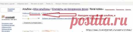 сообщение IrchaV : Как скачать весь альбом из Яндекс.Фоток (17:33 06-11-2015) [3015062/376109330] - margoscha-1984@mail.ru - Почта Mail.Ru