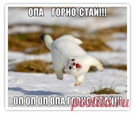 Приколы без границ | ВКонтакте