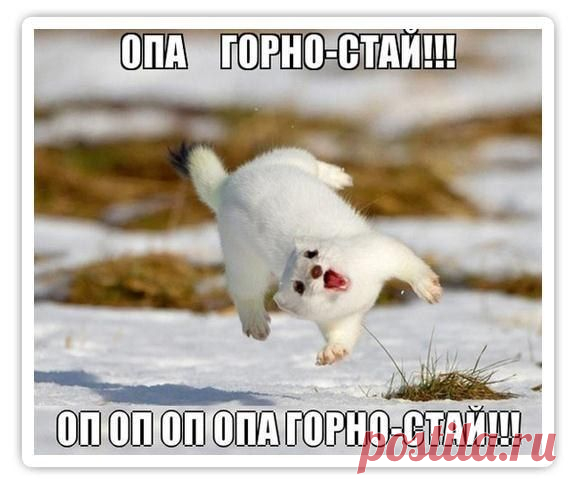 Приколы без границ | ВКонтакте