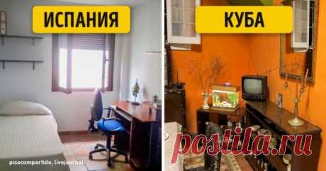 Как на самом деле живут обычные люди среднего класса в разных странах нашей планеты. Без прикрас, только инфа